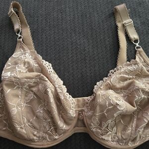 Women’s Ewa Michalak Lace Underwire Bra in Gold/Nude